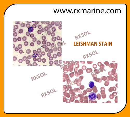 LEISHMAN STAIN